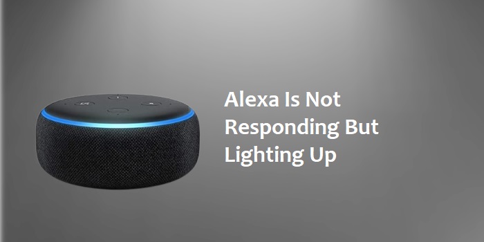 Alexa Not Responding But Lighting Up/ Different Ways To Fix It